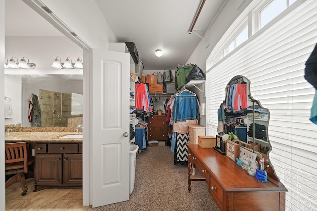 interior space with light carpet and a sink