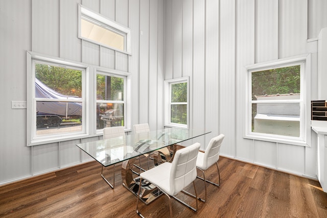 dining room featuring plenty of natural light, wood finished floors, and a decorative wall