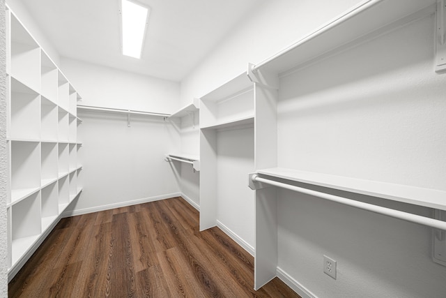 spacious closet with dark wood finished floors