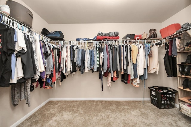 spacious closet featuring carpet floors