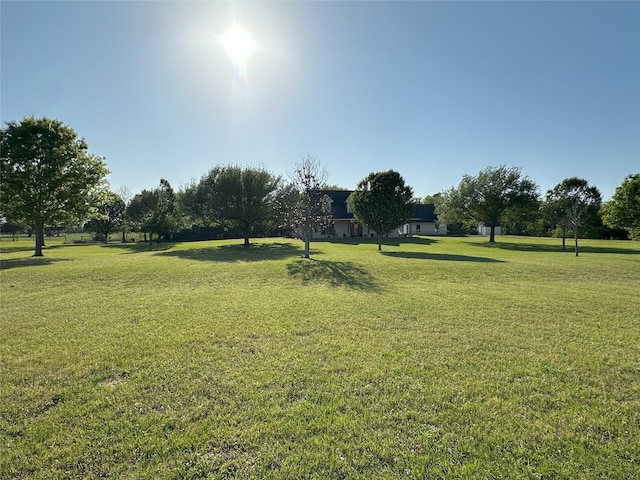 15395 Kitty Hawk Dr, Waller, TX 77484 - view of yard