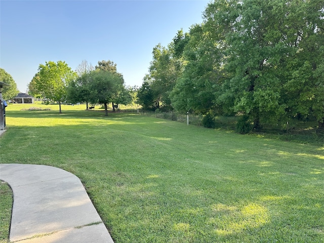 15395 Kitty Hawk Dr, Waller, TX 77484 - view of yard