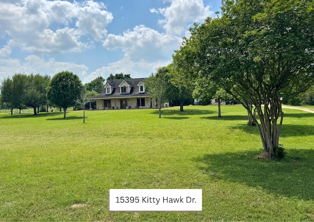 15395 Kitty Hawk Dr, Waller, TX 77484 - view of yard