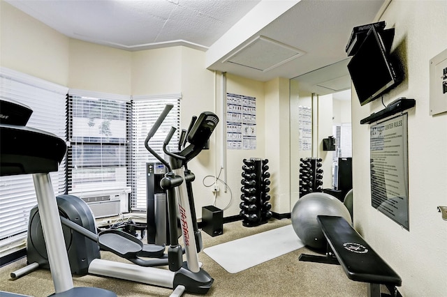 661 Bering Dr Unit 301, Houston, TX 77057 - workout room with carpet floors