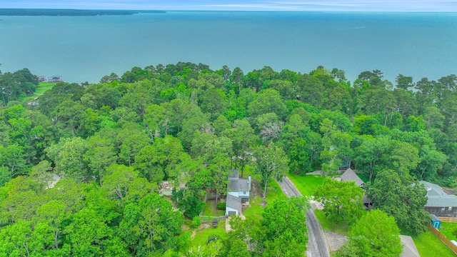 bird's eye view with a view of trees