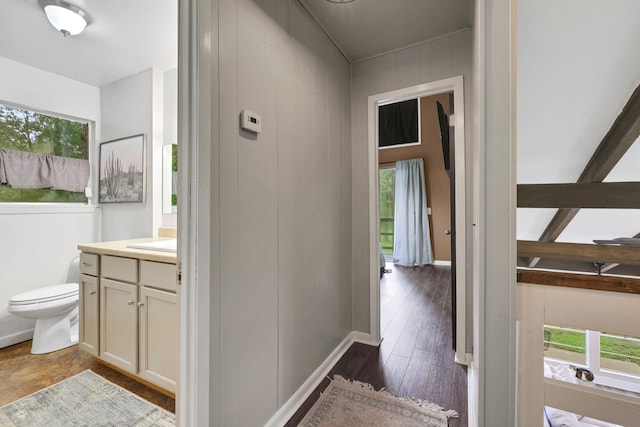 interior space featuring toilet, plenty of natural light, and vanity