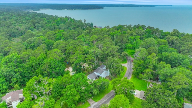 birds eye view of property with a water view and a wooded view