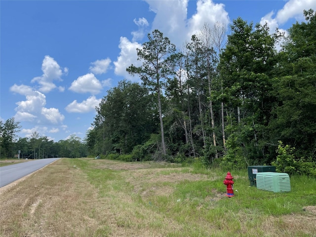 15824 Republic Ranch Rd N, Willis, TX 77378