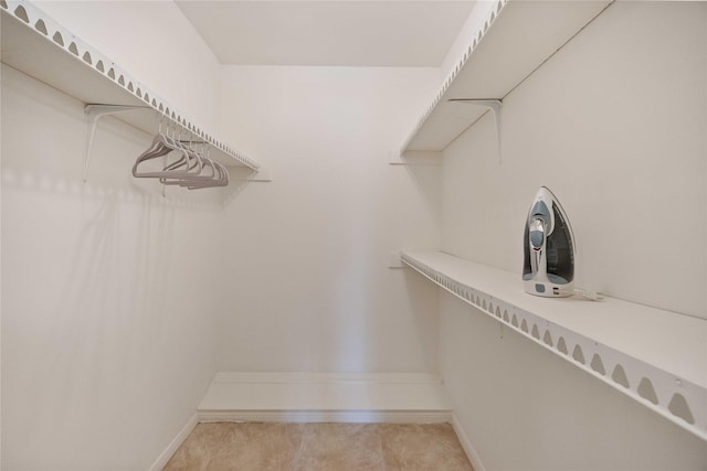 view of spacious closet