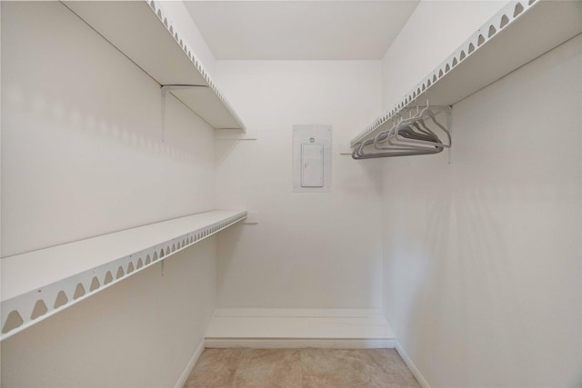 spacious closet featuring light colored carpet