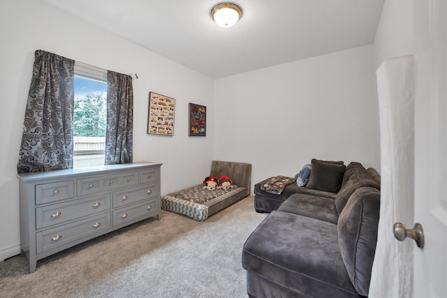 living room with light colored carpet