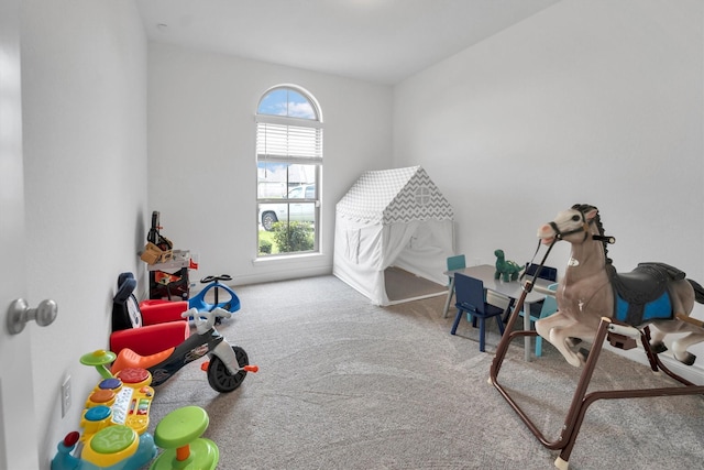 20131 Wild Horse Hollow Ln, Tomball, TX 77377 - recreation room with carpet flooring