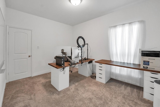 20131 Wild Horse Hollow Ln, Tomball, TX 77377 - home office with light carpet