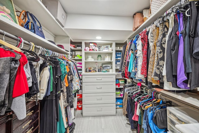 view of spacious closet