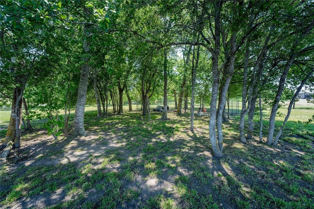 108 High Meadow Ct, Schulenburg, TX 78956 - view of yard