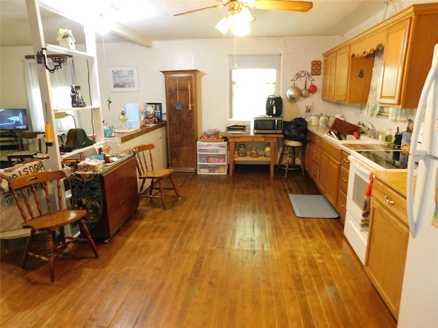 kitchen with stainless steel microwave, a ceiling fan, electric stove, and dark wood-type flooring