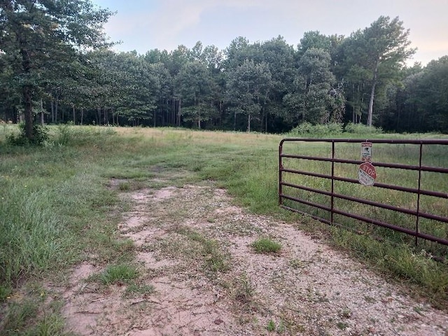 24140 Grand Pines Rd, Magnolia, TX 77355 - photo 7