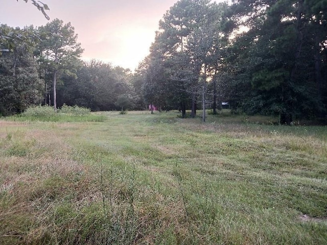 24140 Grand Pines Rd, Magnolia, TX 77355 - photo 8