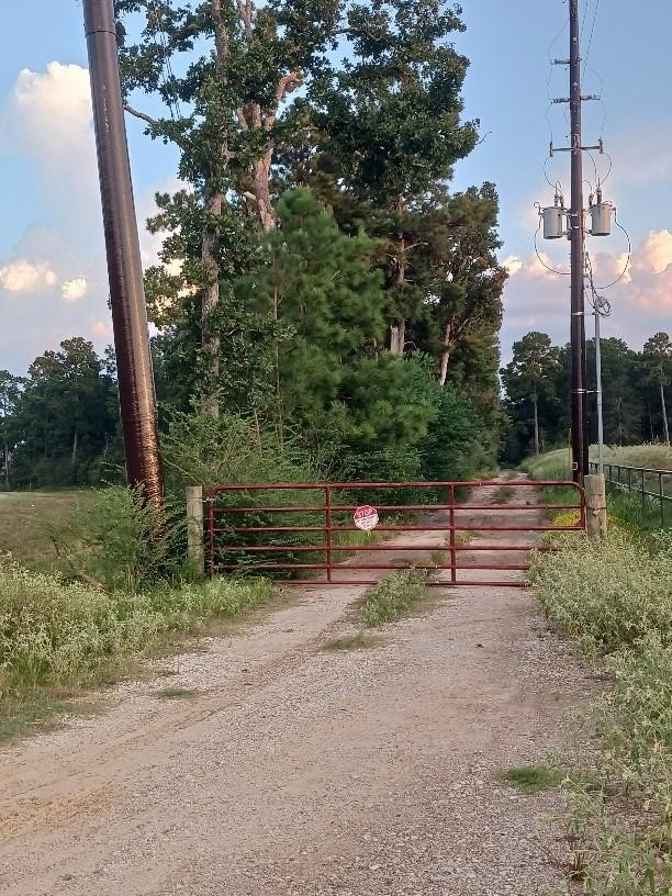 24140 Grand Pines Rd, Magnolia, TX 77355 - photo 10
