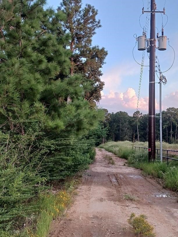 24140 Grand Pines Rd, Magnolia, TX 77355 - photo 11
