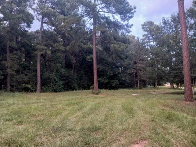 24140 Grand Pines Rd, Magnolia, TX 77355 - photo 2