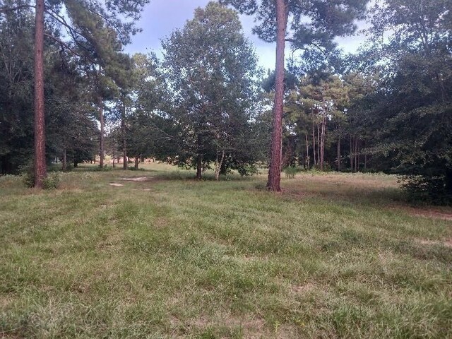 24140 Grand Pines Rd, Magnolia, TX 77355 - photo 6