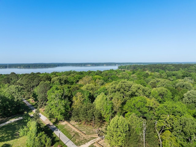 1222 Harts Creek Rd, Trinity, TX 75862 - birds eye view of property featuring a view of trees and a water view