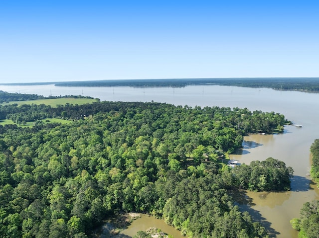 1222 Harts Creek Rd, Trinity, TX 75862 - drone / aerial view with a water view