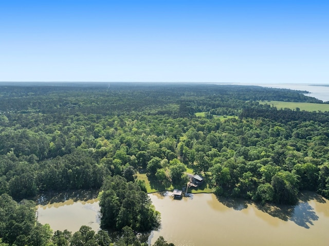 1222 Harts Creek Rd, Trinity, TX 75862 - bird's eye view featuring a forest view and a water view