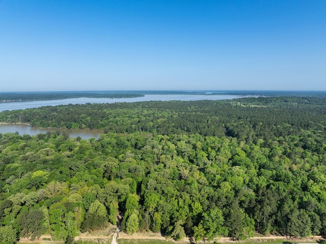 1222 Harts Creek Rd, Trinity, TX 75862 - drone / aerial view with a view of trees and a water view