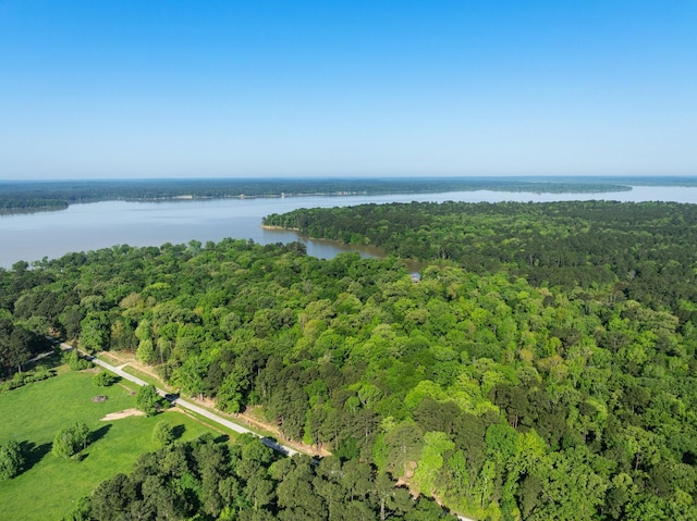 1222 Harts Creek Rd, Trinity, TX 75862 - aerial view featuring a forest view and a water view