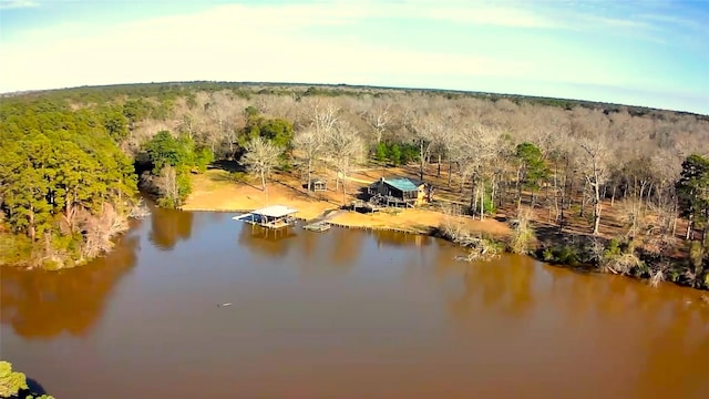 1222 Harts Creek Rd, Trinity, TX 75862 - bird's eye view featuring a wooded view and a water view