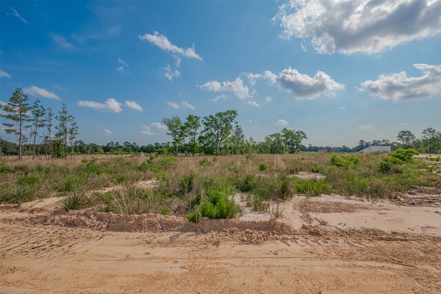 17319 Hufsmith Kohrville Rd, Tomball, TX 77375