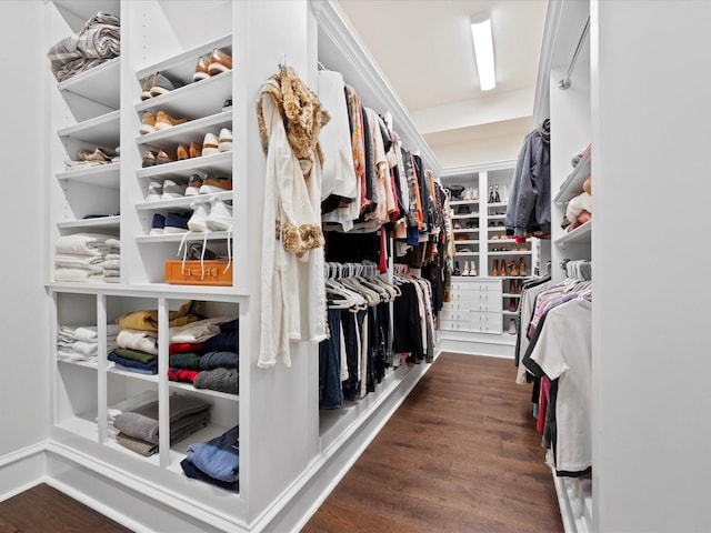 10539 Crestwater Cir, Magnolia, TX 77354 - walk in closet with wood finished floors