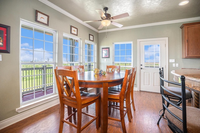 dining room with wood finished floors, ornamental molding, ceiling fan, and plenty of natural light