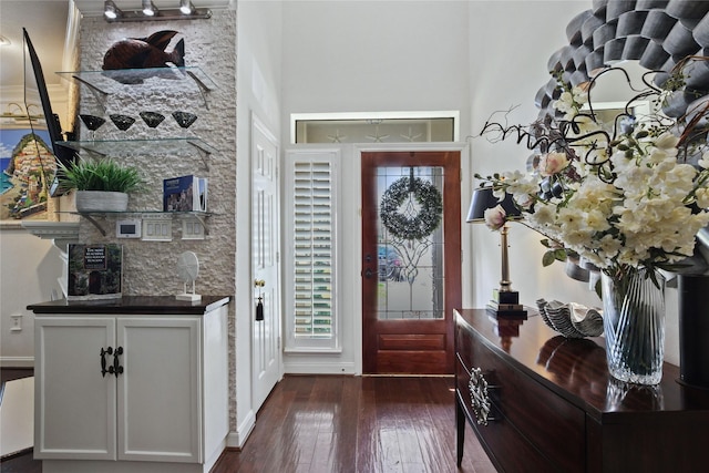 459 Mariners Dr, Kemah, TX 77565 - entryway with dark wood-style flooring, baseboards, and a towering ceiling