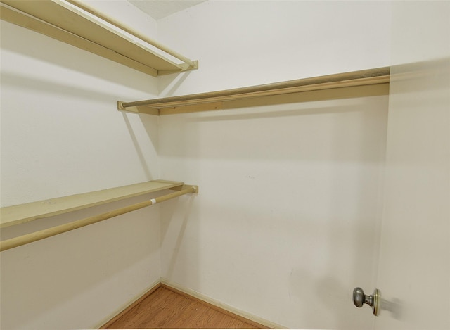 walk in closet with light wood finished floors