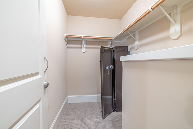 walk in closet featuring carpet flooring