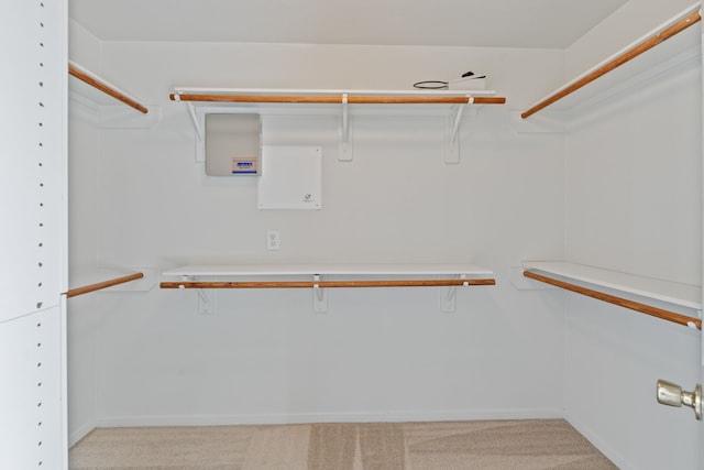 walk in closet featuring light colored carpet