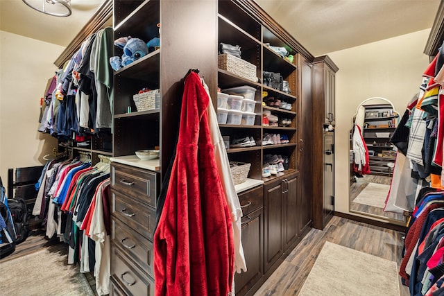 walk in closet featuring light wood-style flooring