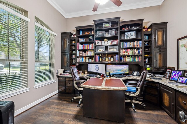 office area with baseboards, built in desk, a ceiling fan, crown molding, and dark wood-type flooring