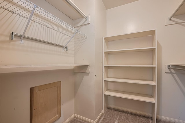 walk in closet featuring carpet floors