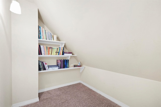 4304 Newcastle Ct, Bryan, TX 77802 - spacious closet featuring carpet flooring and lofted ceiling
