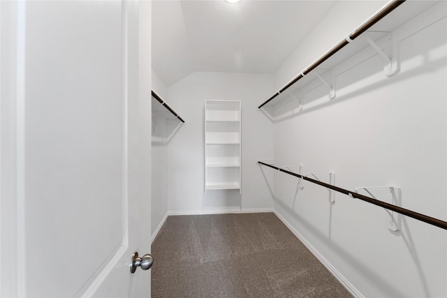 546 Long Beach Bay Dr, Katy, TX 77493 - walk in closet featuring carpet flooring