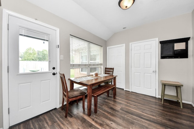 3011 Fairchild Ave, Needville, TX 77461 - dining space featuring dark wood-type flooring, vaulted ceiling, and a wealth of natural light