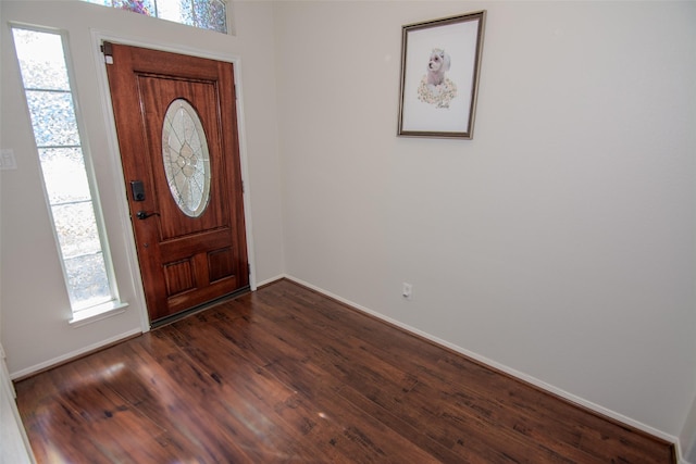 foyer entrance featuring dark wood finished floors, a wealth of natural light, and baseboards