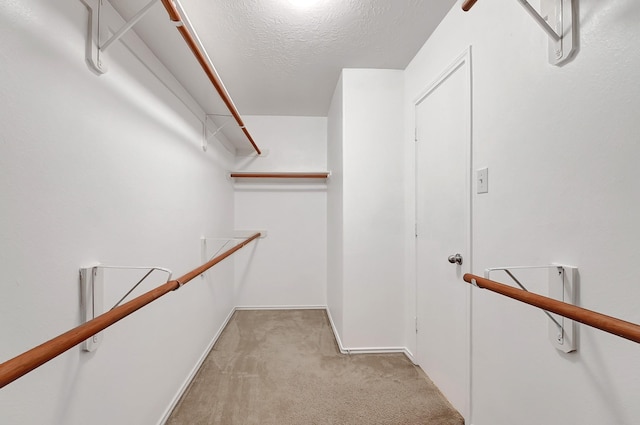 spacious closet with carpet floors