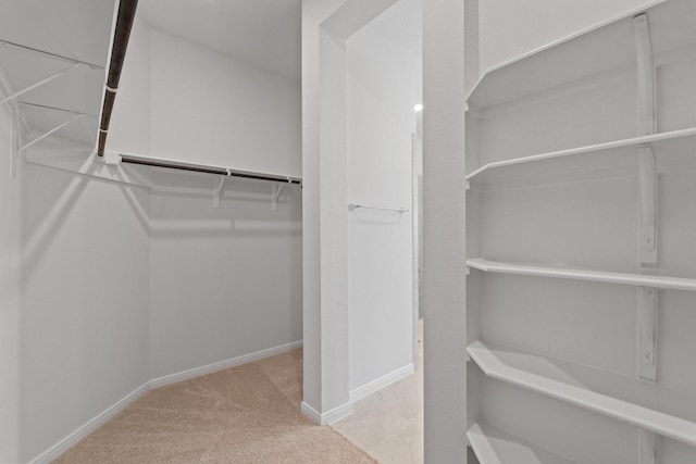 spacious closet with carpet flooring