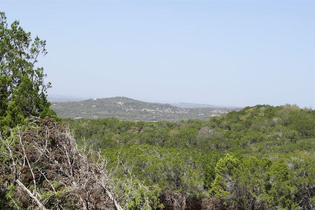 property view of mountains with a view of trees