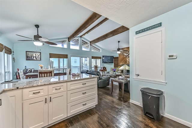 23001 Fresca St, Galveston, TX 77554 - kitchen with ceiling fan, dark wood-type flooring, healthy amount of natural light, and light stone countertops